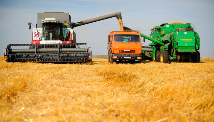 Россия заработает на экспорте зерна $9-10 млрд