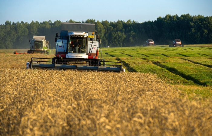 Российским аграриям предложили бесплатную блокчейн-платформу для реализации зерна