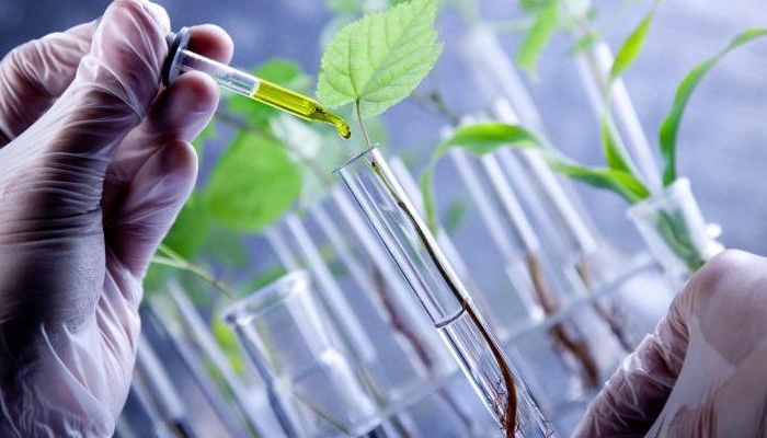 Совет по развитию биотехнологий может быть создан при правительстве