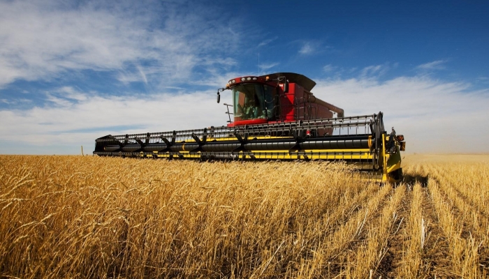 Урожайность зерновых снизилась на 21%
