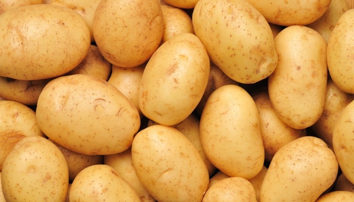 В Крыму готовят инвестплощадку для выращивания ярославского картофеля