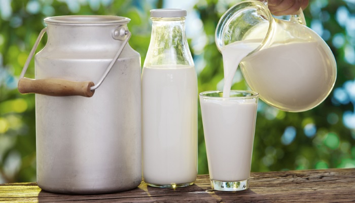 Ekosem-Agrar в I полугодии увеличила выручку на 24%, нарастила долю переработки молока