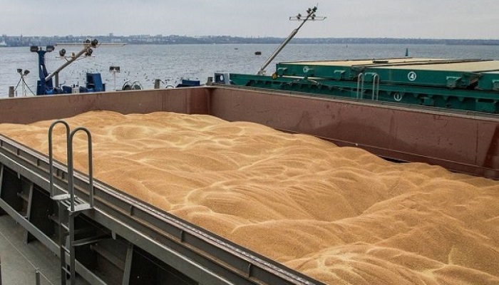 Экспорт пшеницы можно будет регулировать с помощью проверок