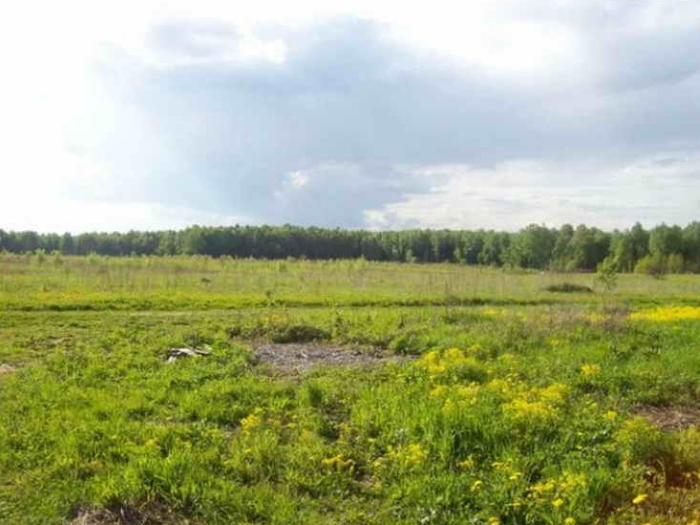 Калининградские власти предложили признать невостребованными земли, пустующие три года