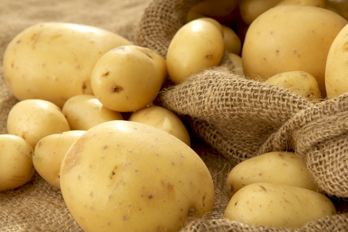 «Картофельный бум» в Европе: цены взлетели вдвое