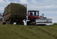 Костромская область перевыполнила план по заготовке кормов