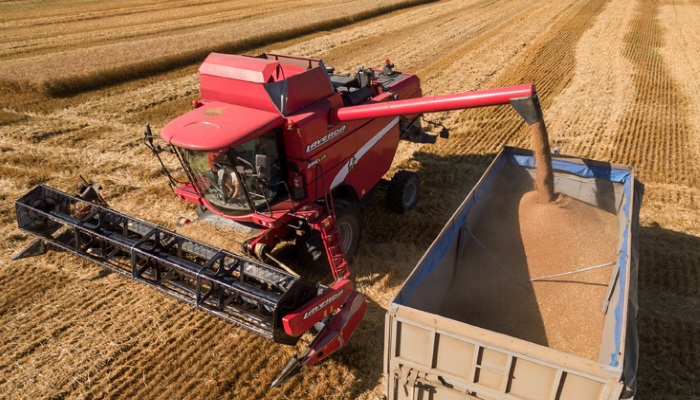 Минсельхоз РФ не считает нужным вводить пошлину на экспорт пшеницы