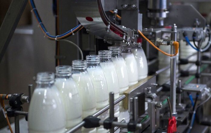 Минсельхоз прогнозирует к 2024–2026 году Россия достигнет продовольственной безопасности по молоку