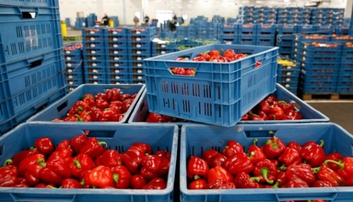 Мировые и российские тренды в переработке плодов и овощей