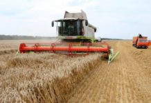 Новосибирские власти задумались о возвращении режима ЧС в аграрном секторе
