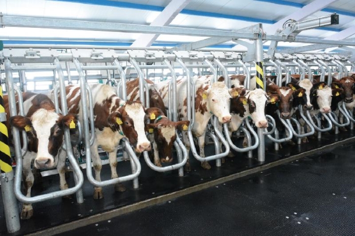 Плазменный реактор повысит экологичность молочных ферм