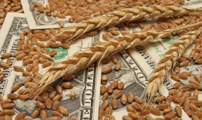 По данным ряда аналитиков, экспорт зерна в сентябре