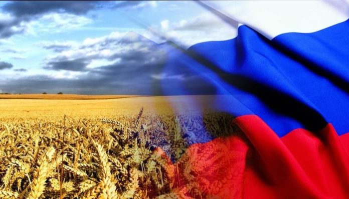 Пшеница из РФ угрожает США