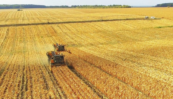 Рост инвесторов в АПК Калужской области привел к нехватке земель для новых ферм