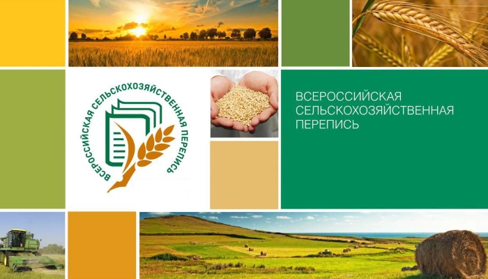 Руководством Росстата представлены итоги Всероссийской сельскохозяйственной переписи 2016 года