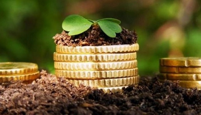 Сельхозсектор Курской области с начала года увеличил объем кредитования в 1,5 раза