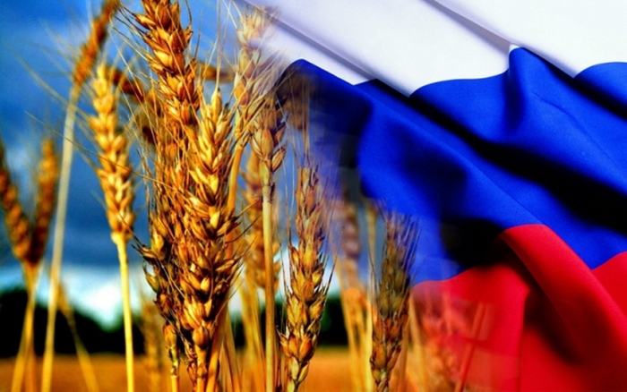 Ситуация на российском зерновом рынке