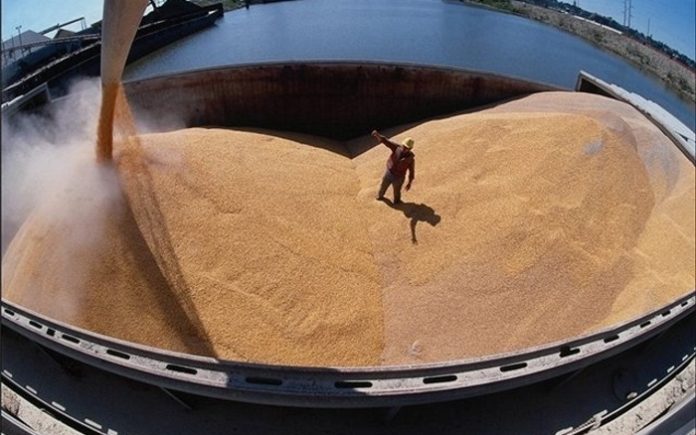 В России скоро снова введут экспортные пошлины на зерно