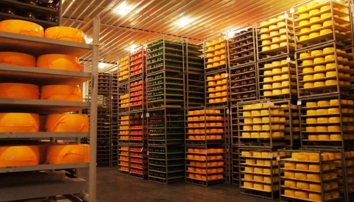 В Тольятти построят завод по производству сыра за 4 миллиарда рублей