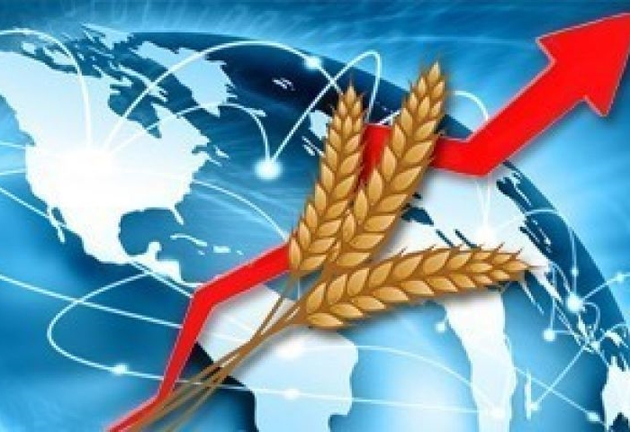 В будущем году ожидается рост аграрного экспорта США