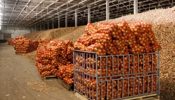 Власти Кубани предложили субсидировать овощехранилища на федеральном уровне
