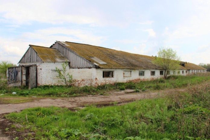 Более 10 заброшенных ферм планируют восстановить в Подмосковье до конца года