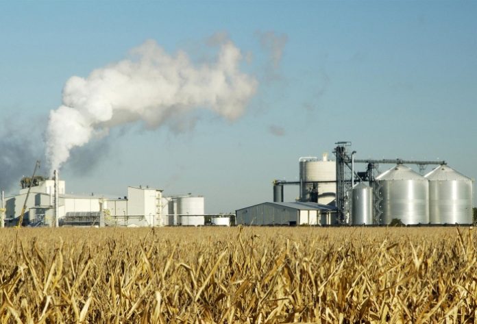 Глубокая переработка зерна и промышленная биотехнология
