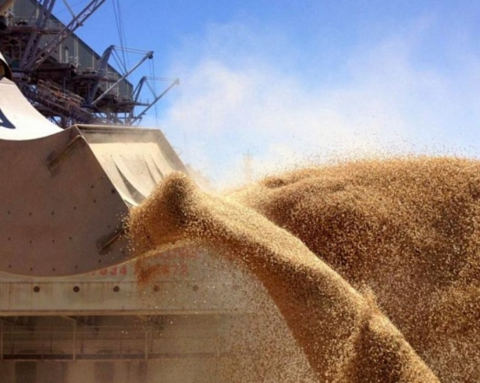 Экспорт зерна из России вырос на 73%