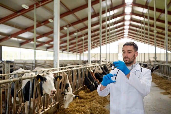 «Калининградская мясная компания» запустила образовательную программу для будущих ветврачей