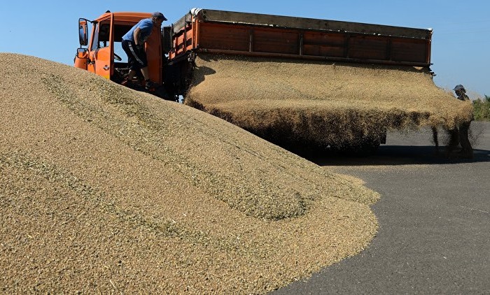 Крыму разрешили закупить в госфонде 82 тыс тонн зерна