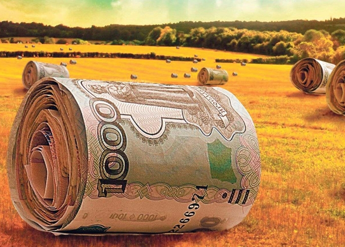 Медведев распорядился контролировать поступление денег на поддержку сельхозпроизводителей