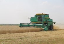 Минсельхоз России: кредитование сезонных полевых работ выросло на 24,51 %