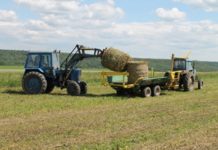 Минсельхоз России: на 10 октября заготовлено 29,4 млн тонн грубых и сочных кормов