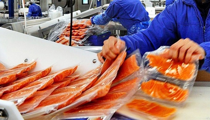 Новый рыбоперерабатывающий завод будет выпускать красную рыбу и икру на Чукотке