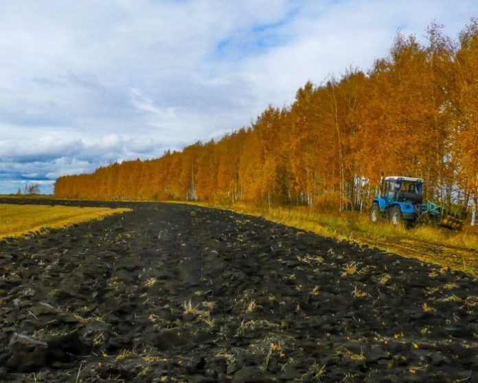 О ходе осенних полевых работ в Рязанской области
