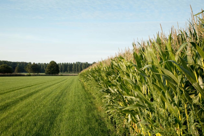 «Покровский» внедряет методы биологизированного земледелия и цифровизации