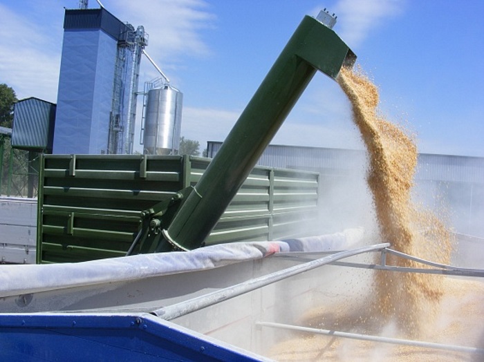 Проверки погрузочных площадок зерна подняли цены на российскую пшеницу