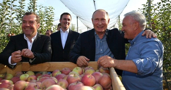 Путин о росте экспорта сельхозпродукции: «Это прорыв»