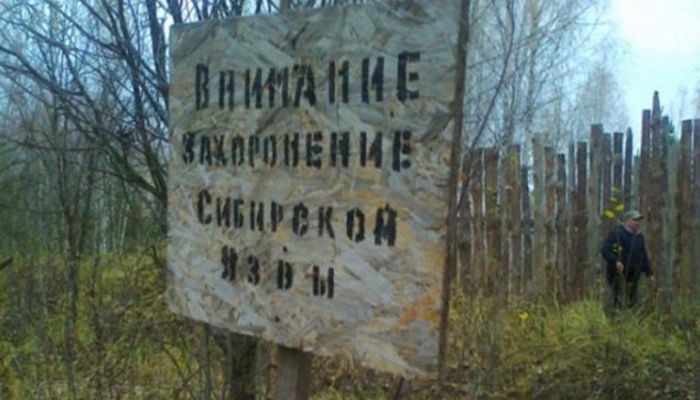 Роспотребнадзор предупредил об угрозе сибирской язвы на Украине