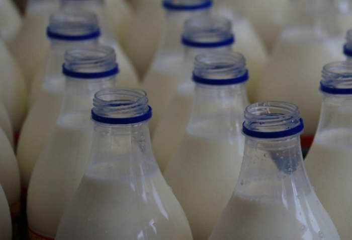 Роспотребнадзор забраковал в Ленобласти 2,5 тонны молочной продукции