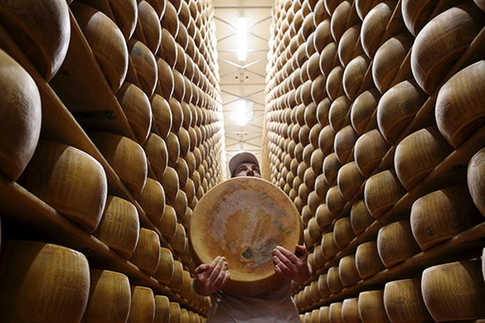 Россия накормит костромским сыром весь мир. Он еще не знает, что его ждет