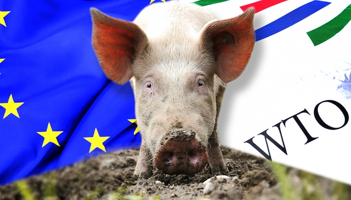 Россия заблокировала созыв третейской группы ВТО по спору с ЕС по свинине