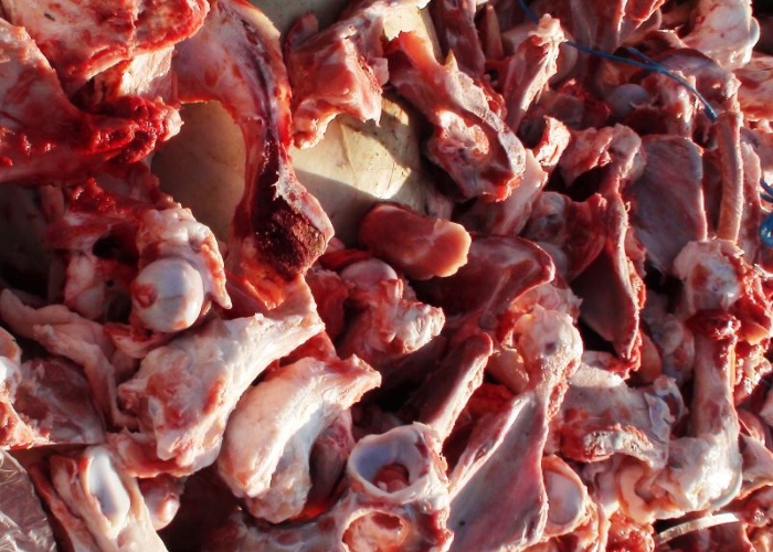 В Белгородской области построят цех по переработке отходов мясопроизводства