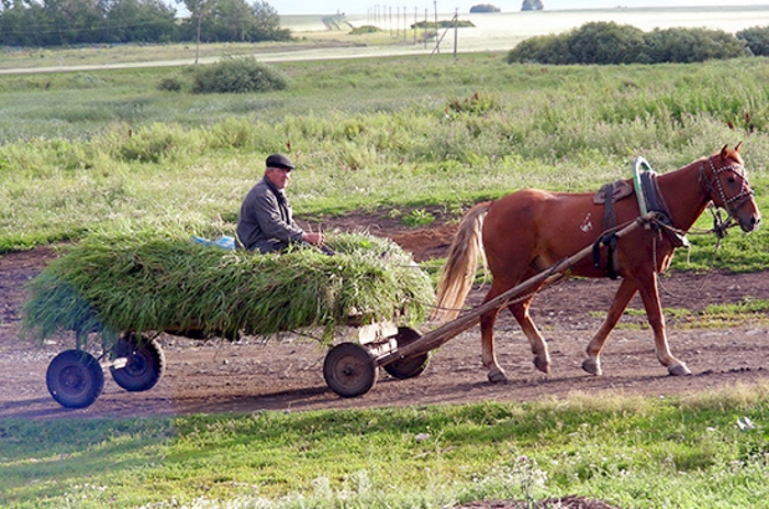 В Госдуме настаивают на увеличении финансирования сельского хозяйства