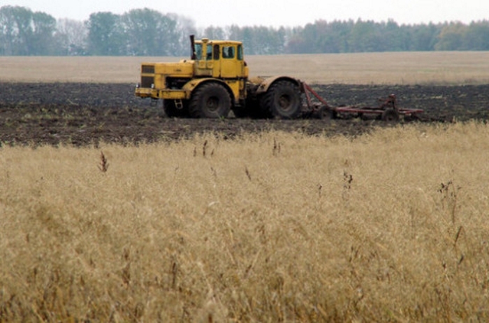 В России может появиться компенсационный фонд для возмещения вреда земельным ресурсам