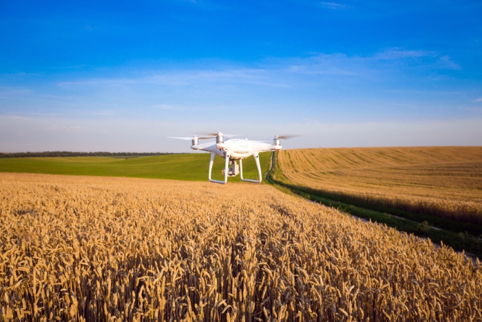 В России защищать сельхозугодья от вредителей будут дроны