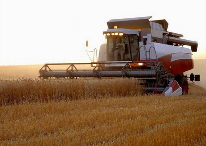 Валовой сбор зерновых в Новосибирской области превысил 2 млн. тонн