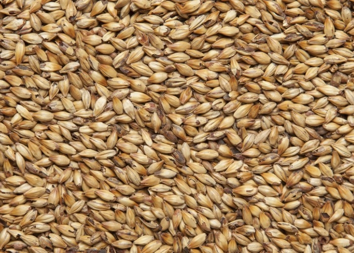 Вьетнам ввел запрет на ввоз пшеницы из-за рубежа