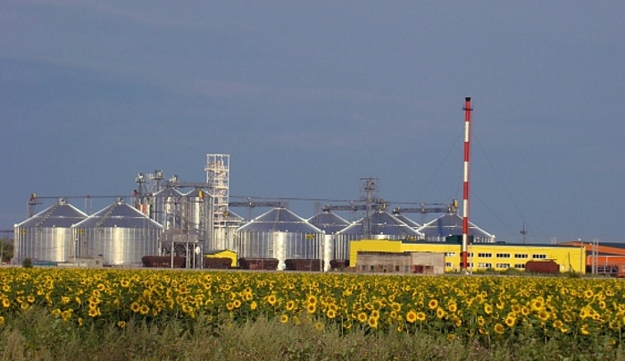 Заводы по переработке подсолнечника и кукурузы откроются в Волгоградской области