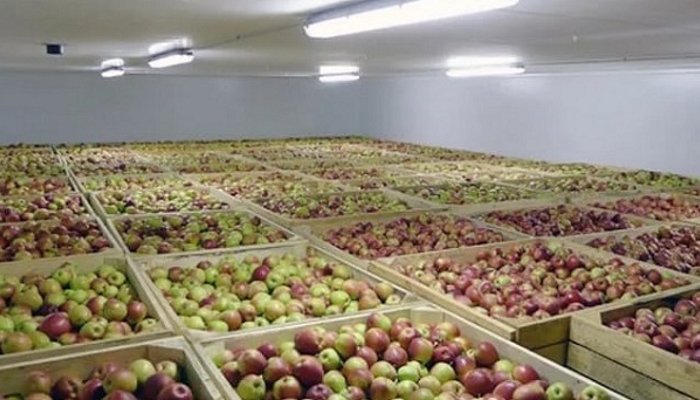 «АгроБелогорье» строит склад для хранения фруктов в Белгородской области